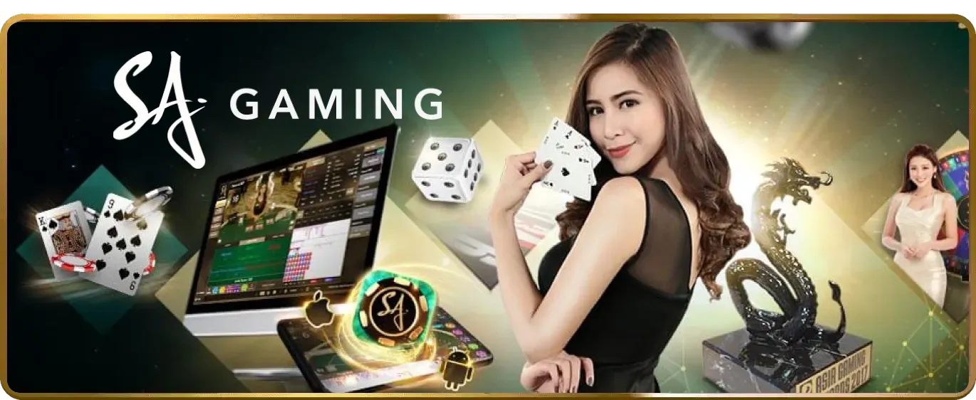 Hệ thống cấp độ VIP