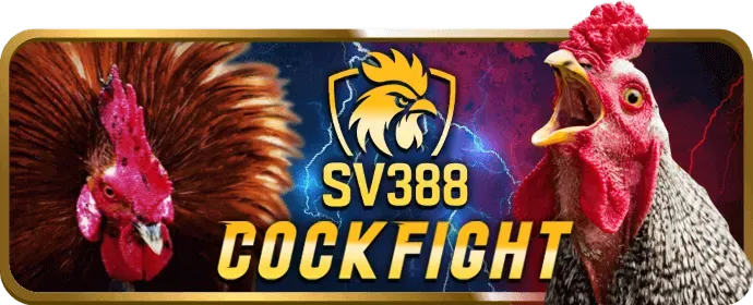 Bảo Mật Dữ Liệu Tối Ưu Với Ứng Dụng v868 win